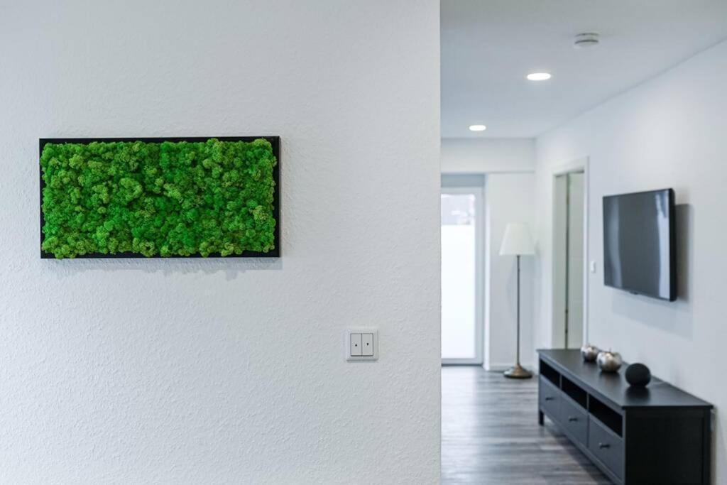 Ferienhaus Kopf In Bad Buchau Dış mekan fotoğraf